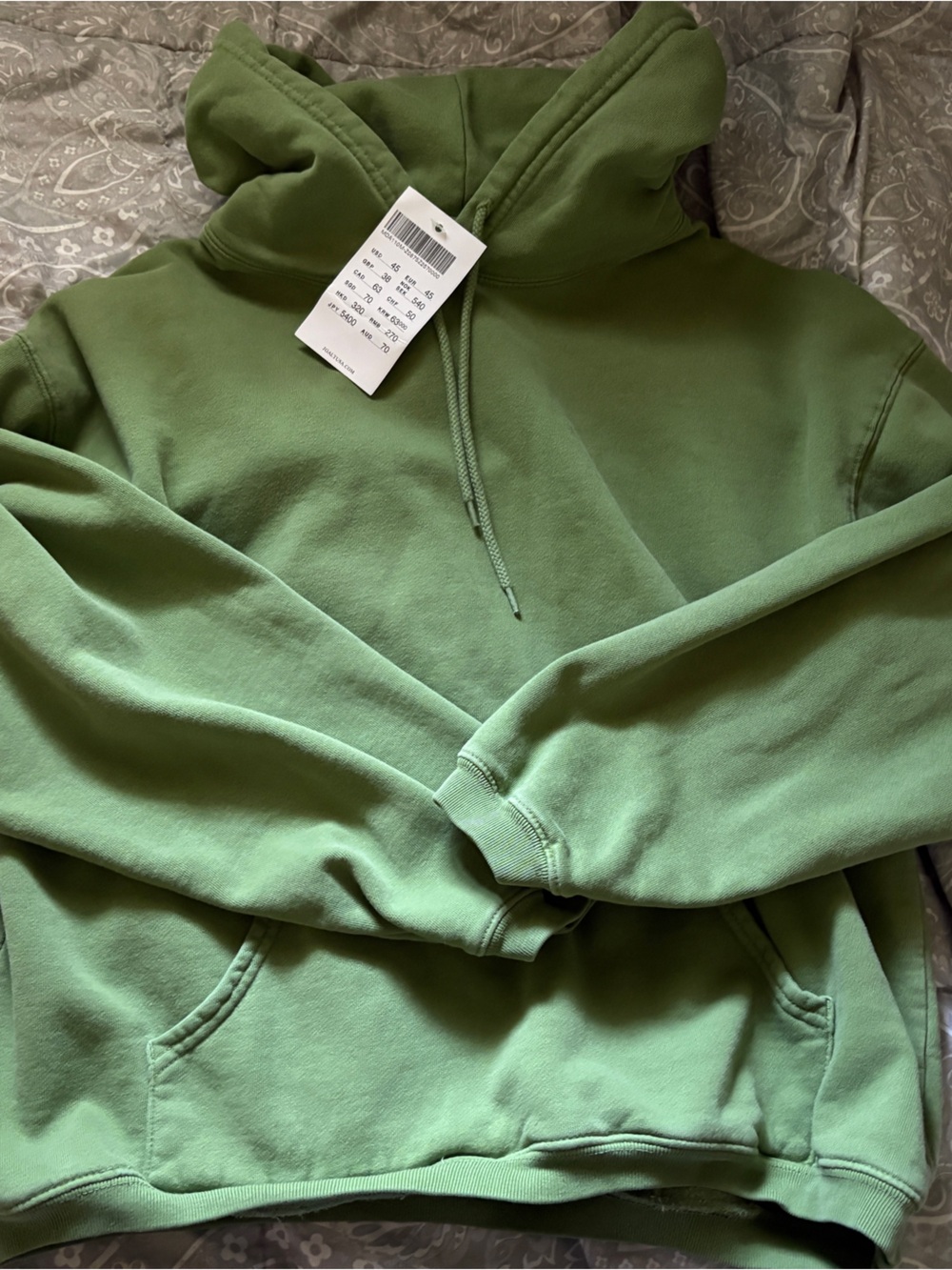 Brandy Melville Matcha Green Hoodie